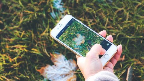 手机看片国产永久福利,国产福利大片,尽在掌握